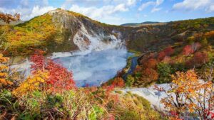 המרכז למטייל יפן
